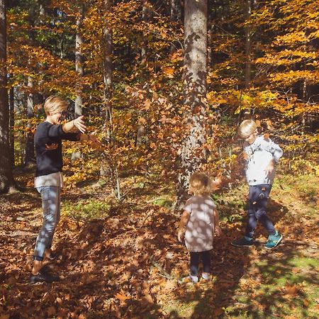 Drewniana Roza Domki Karkonosze เปียโควิเซ ภายนอก รูปภาพ